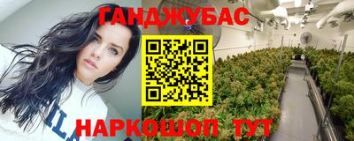 индика Славгород