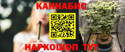 индика Славгород