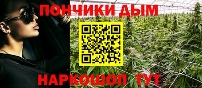 молекула духа Сланцы