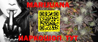 индика Славгород