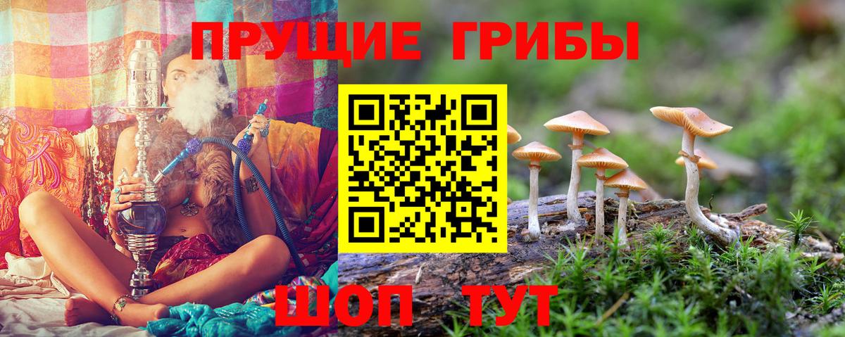 Псилоцибиновые грибы Magic Shrooms  Вход с VPN  Псилоцибиновые грибы мицелий  Сарапул 
